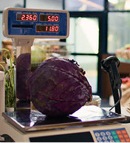 PTV2 Programı